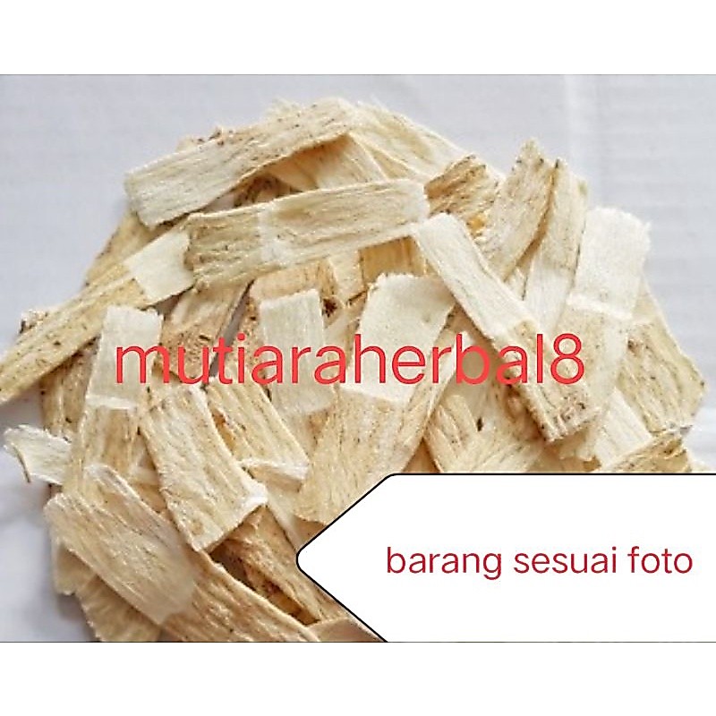 100gr premium astragalus Root / Huang qi eng KL herbal China ori