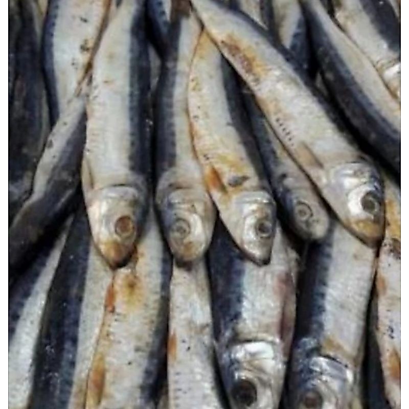 Jual Ikan Asin Japuh / Serai 100 gram | Shopee Indonesia