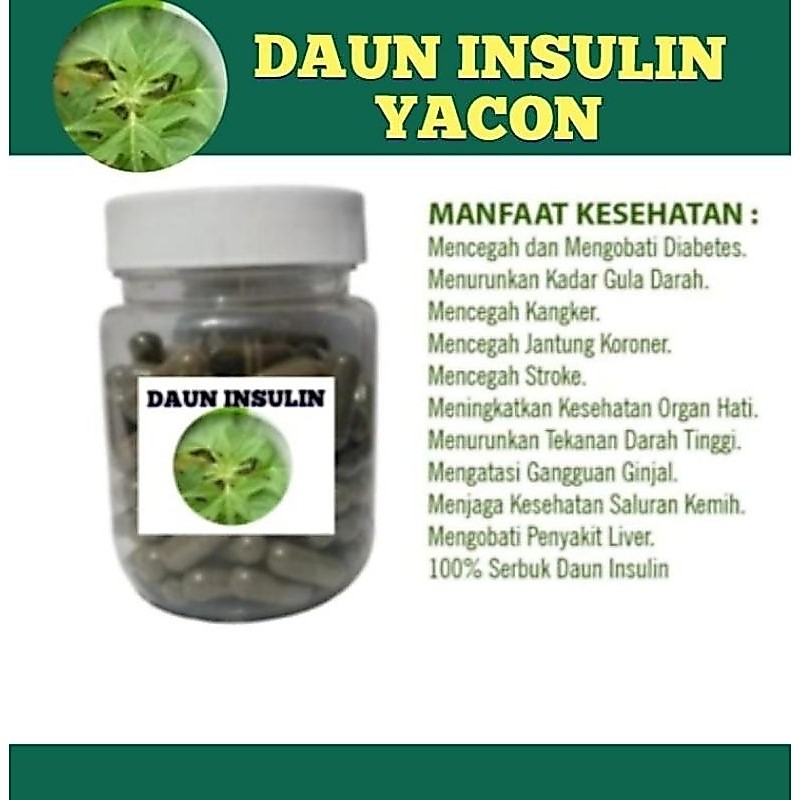 Daun Insulin 100 Kapsul Kapsul Diabetes Liver Ginjal Kemasan BOTOL