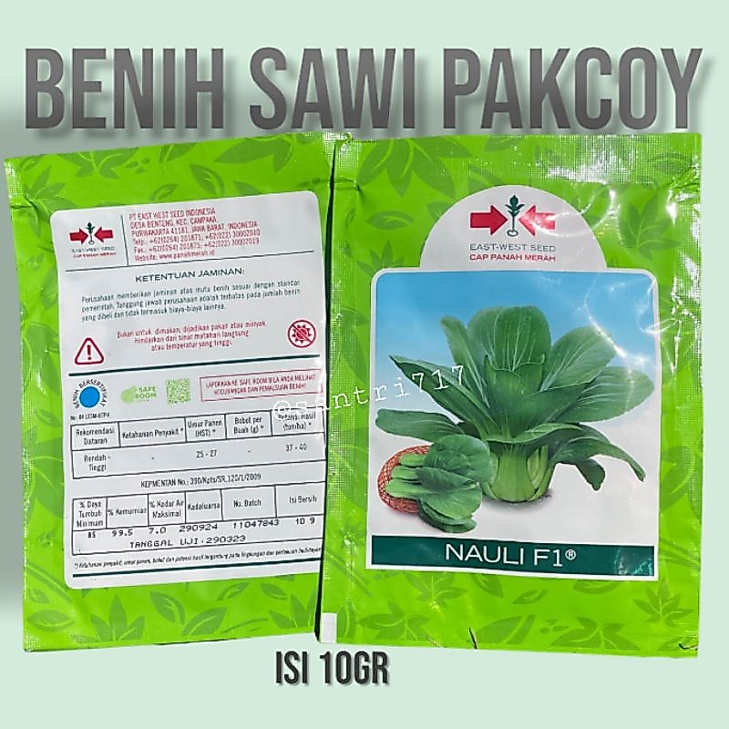 10gr biji - benih pakcoy hijau sawi sendok daging isi ±5000 butir