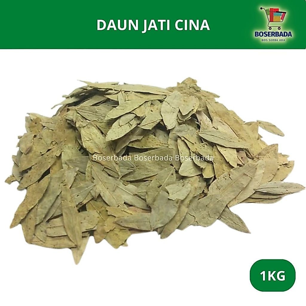 1Kg Daun Jati Cina I Teh Pelangsing Herbal