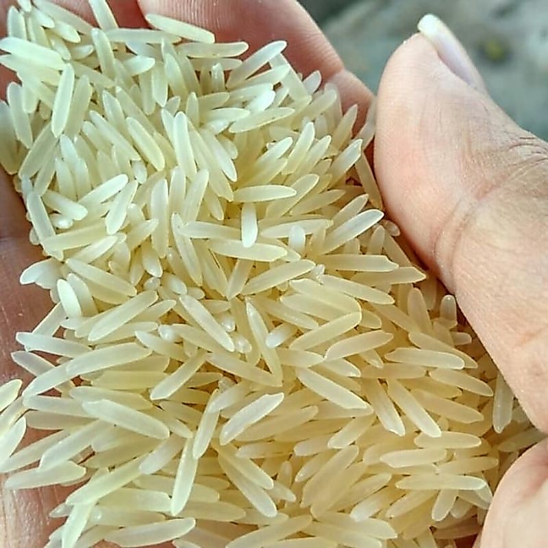 Jual beras basmati abukas 1kg basmati rice | Shopee Indonesia