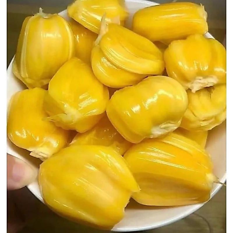 Nangka Frozen 500 Gram