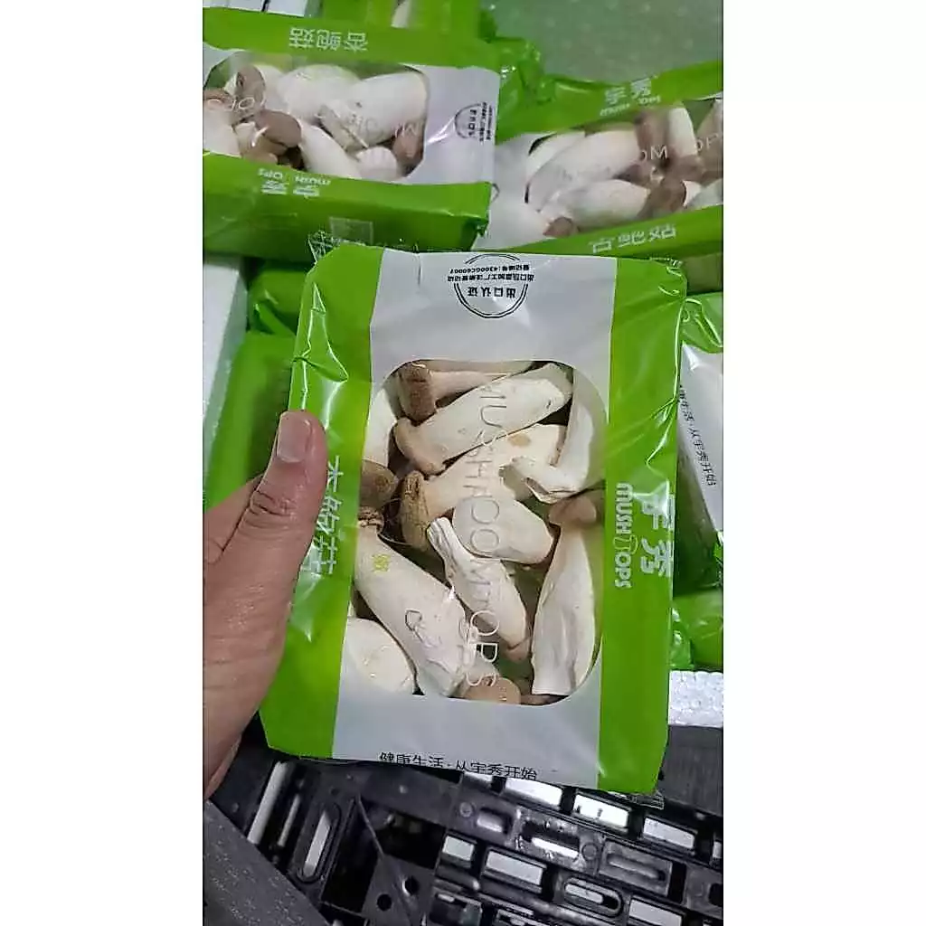 Jual Oyster Surabaya