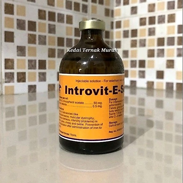 Jual Introvit E Selen 100 ml Vitamin E Selenium Injeksi Hewan Sapi ...