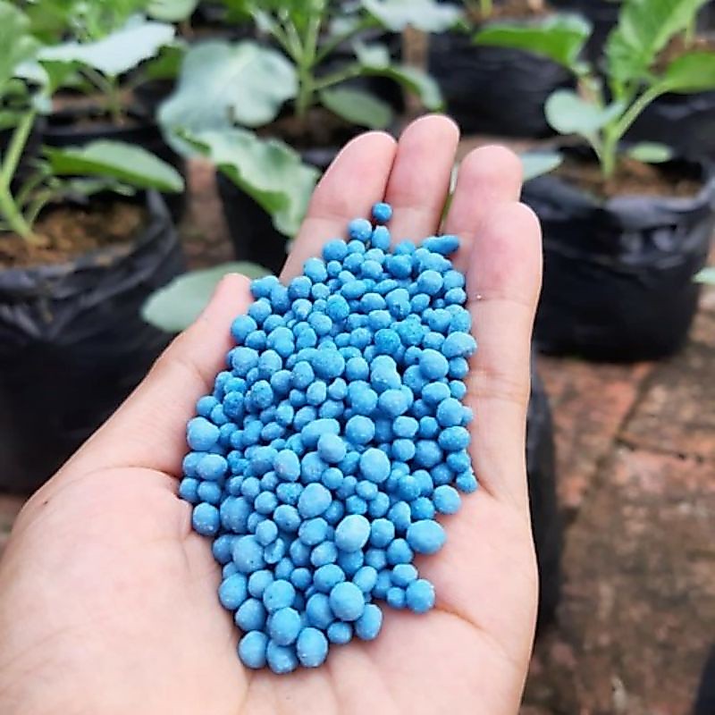 Pupuk Npk mutiara 16 16 16 isi 50 gram