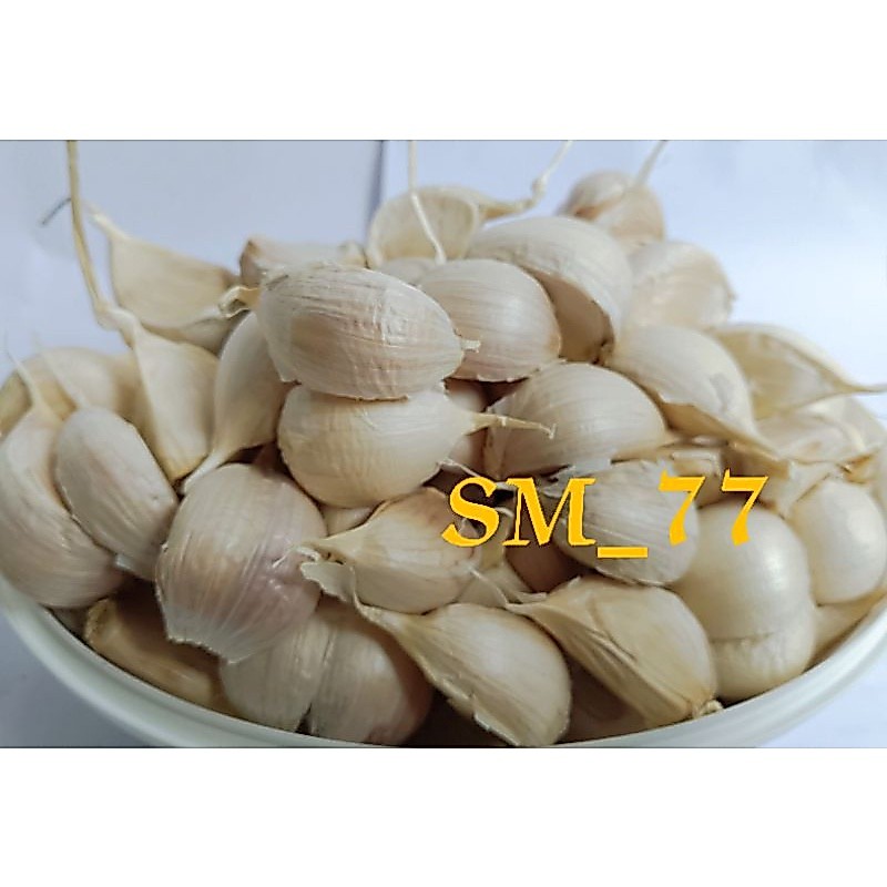 Jual Bawang Putih Kating 1kg Protolan | Shopee Indonesia