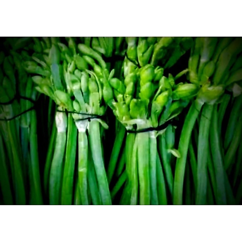 Jual Sayur Genjer Terlengkap & Harga Terbaru Juli 2026 | Shopee Indonesia