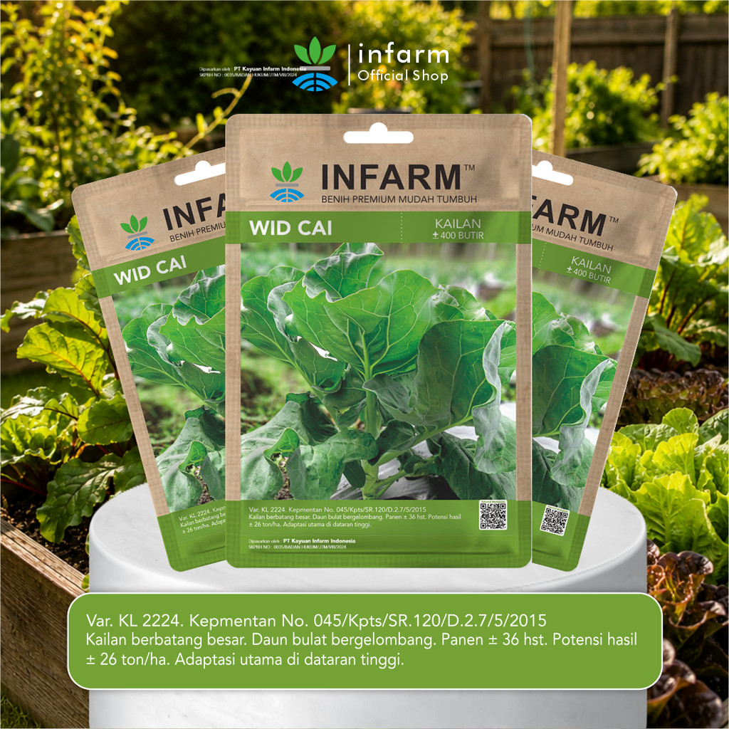 Jual INFARM - Benih Sawi Kailan Super Bibit Biji Unggul Sayuran Daun ...
