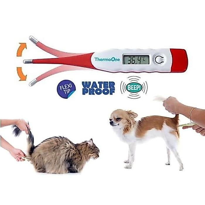 Jual Termometer Thermometer digital elastis hewan - pengukur suhu tubuh ...