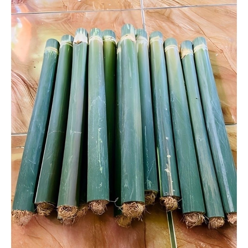 Jual Obor bambu/obor pawai/obor camping/obor api+sumbu Khas sunda ...