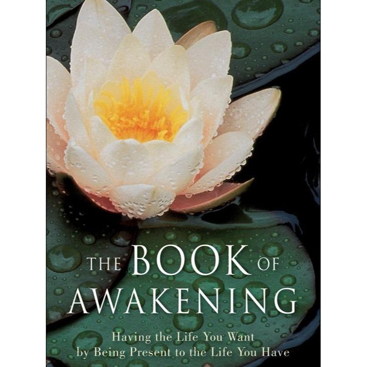 Jual Buku The Book of Awakening by Mark Nepo Shopee