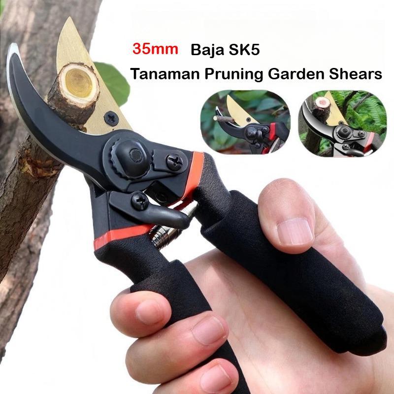 Jual Gunting Ranting Pohon Terlengkap & Harga Terbaru Juli 2026 ...