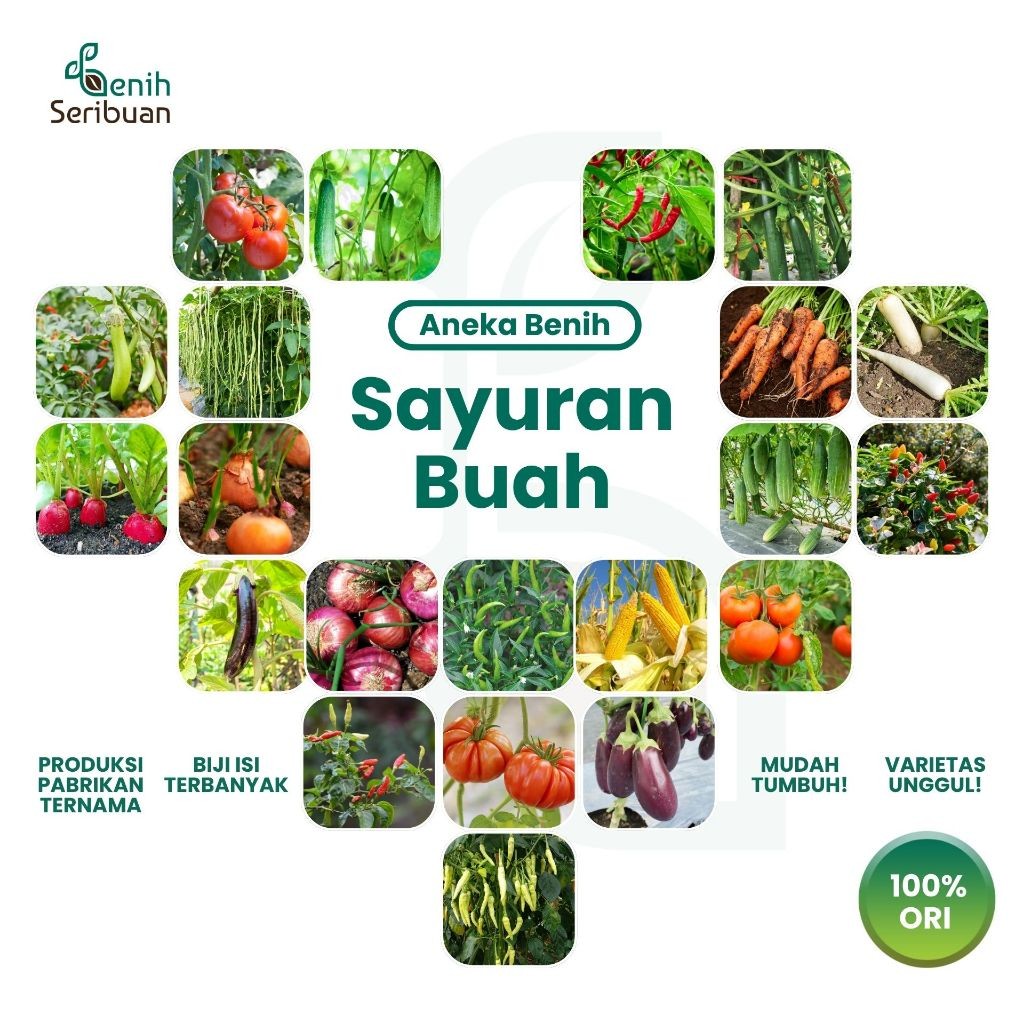 BENIH SERIBUAN - Aneka Benih Sayur Sayuran Buah Varian Unggulan Biji / Bibit Sayur Sayuran & Buah Unggul Mudah Tumbuh benih cabe benih bawang benih kacang panjang buncis mudah tumbuh benih cepat panen cocok untuk pemula berkebun petani urban