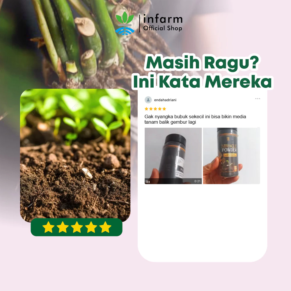 Tanaman Tumbuh Subur