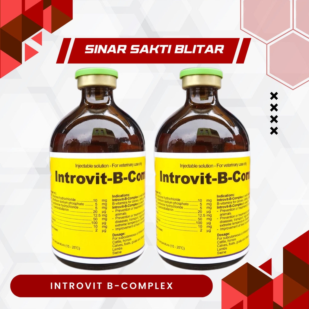 Jual INTROVIT B COMPLEX 100 ML - Multivitamin B Complex Interchemie ...