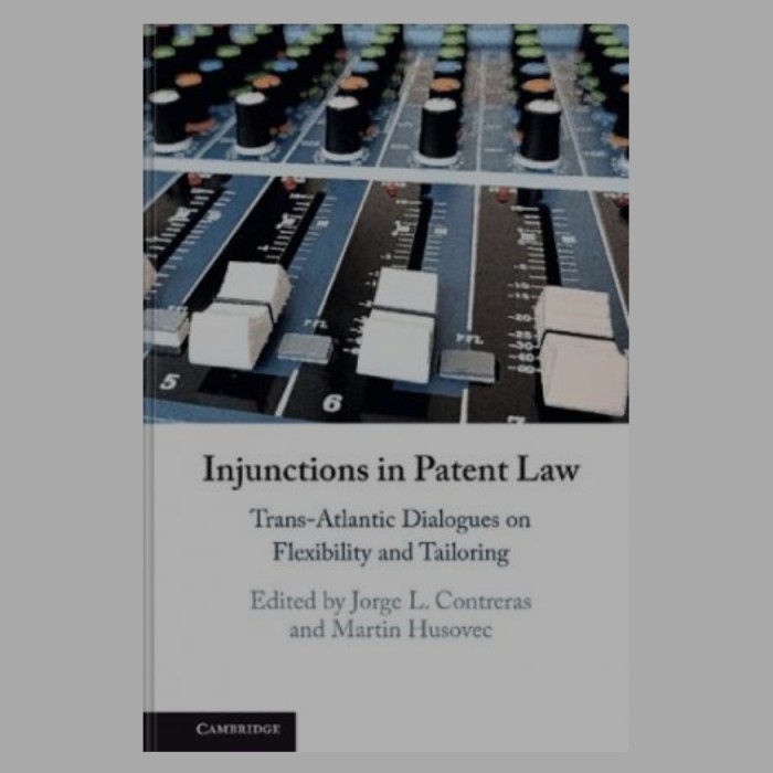 Jual Buku Injunctions In Patent Law: Trans-Atlantic Dialogues | Shopee ...