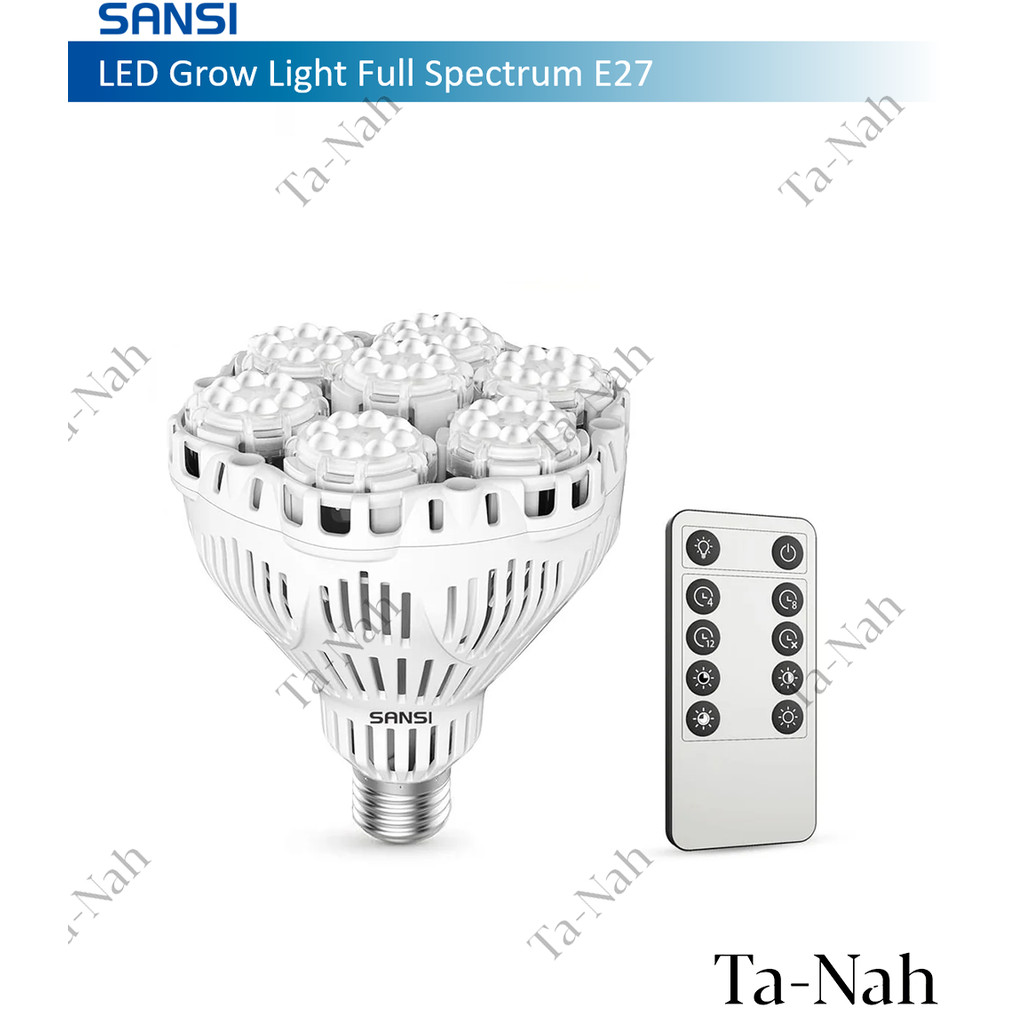 Dimbare LED lamp 3,5W GAAS DECO cilinder 100mm E27 | Zwart | Lichtcentrum Hengelo