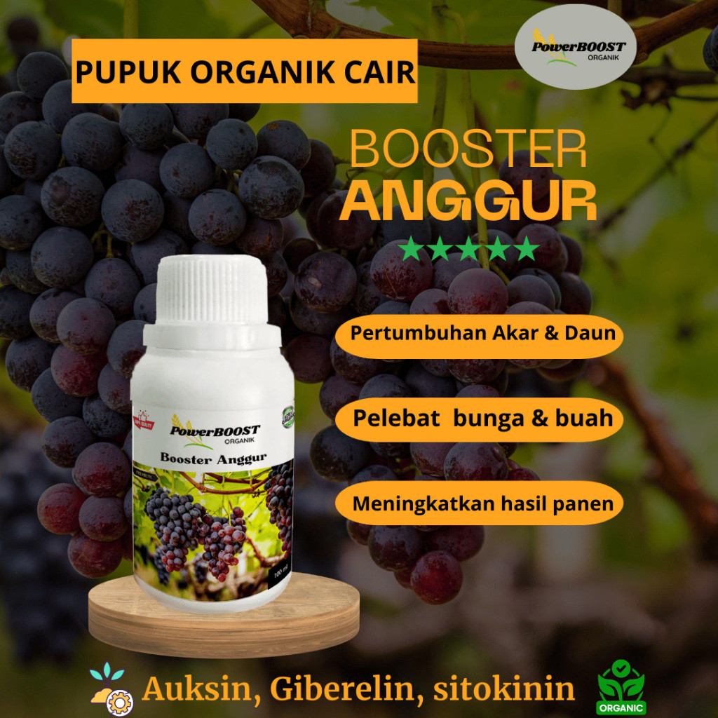Jual PowerBOOST Pupuk Organik Cair - PELEBAT tanaman BUAH ANGGUR tahan ...
