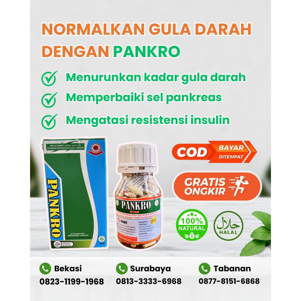 Obat Herbal Diabetes PANKRO Best Seller - Obat Herbal Diabetes Kering / Basah Dijamin Ampuh - Obat Penurun Gula Darah Ampuh 100% - BMCA