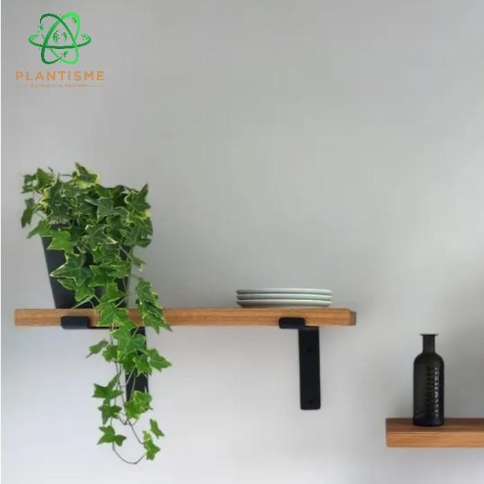 Jual Rak Tanaman – Antura Rak Ambalan Besi Kayu Dinding Estetik ...