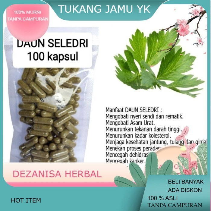 Daun SELEDRI isi 100 kapsul untuk asam urat asam lambung nyeri sendi asli tanpa campurann