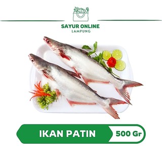 Ikan Patin Segar 500 Gr