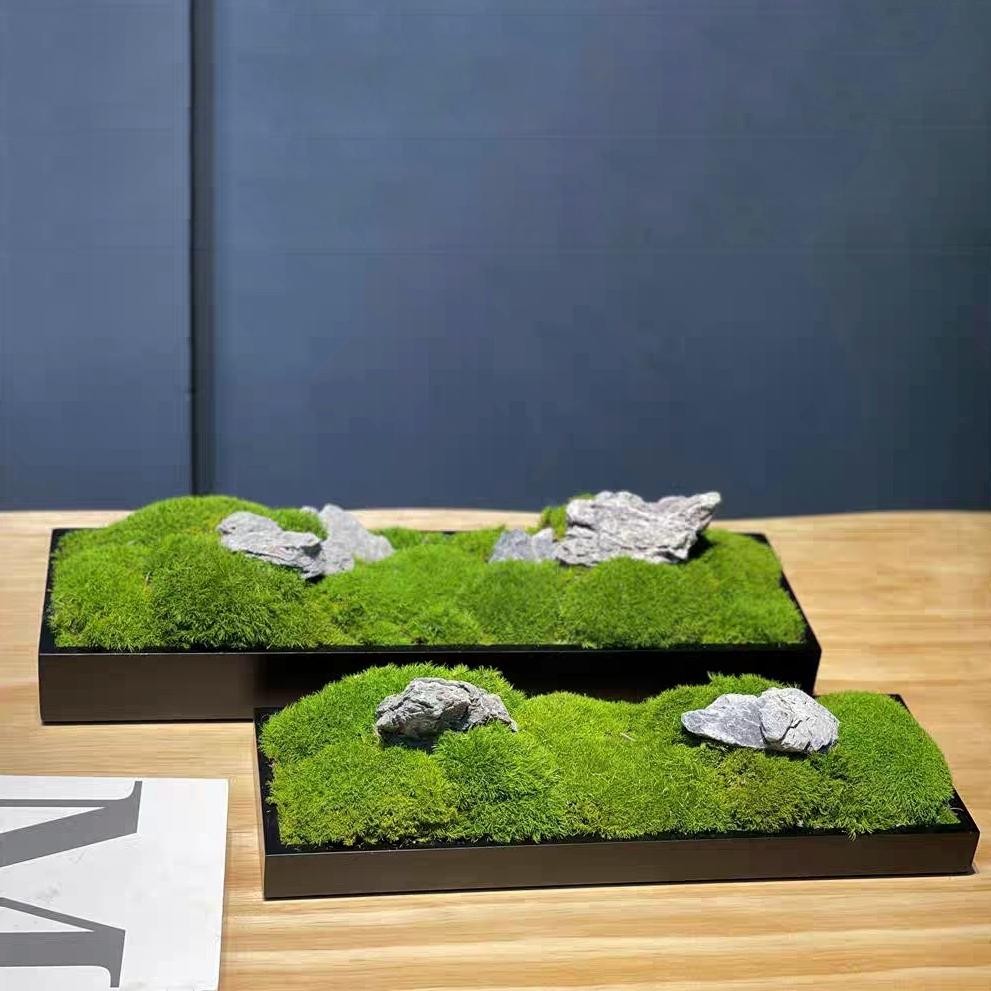 Jual Table Top Moss - Mini Landscape Bonsai Mini Garden Living Moss ...