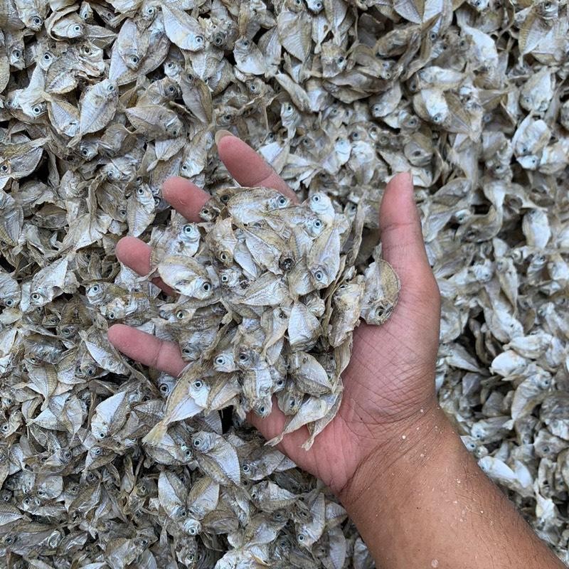 Jual IKAN PIRIK/PETEK KECIL/DODOK TAWAR KERING Food | Shopee Indonesia
