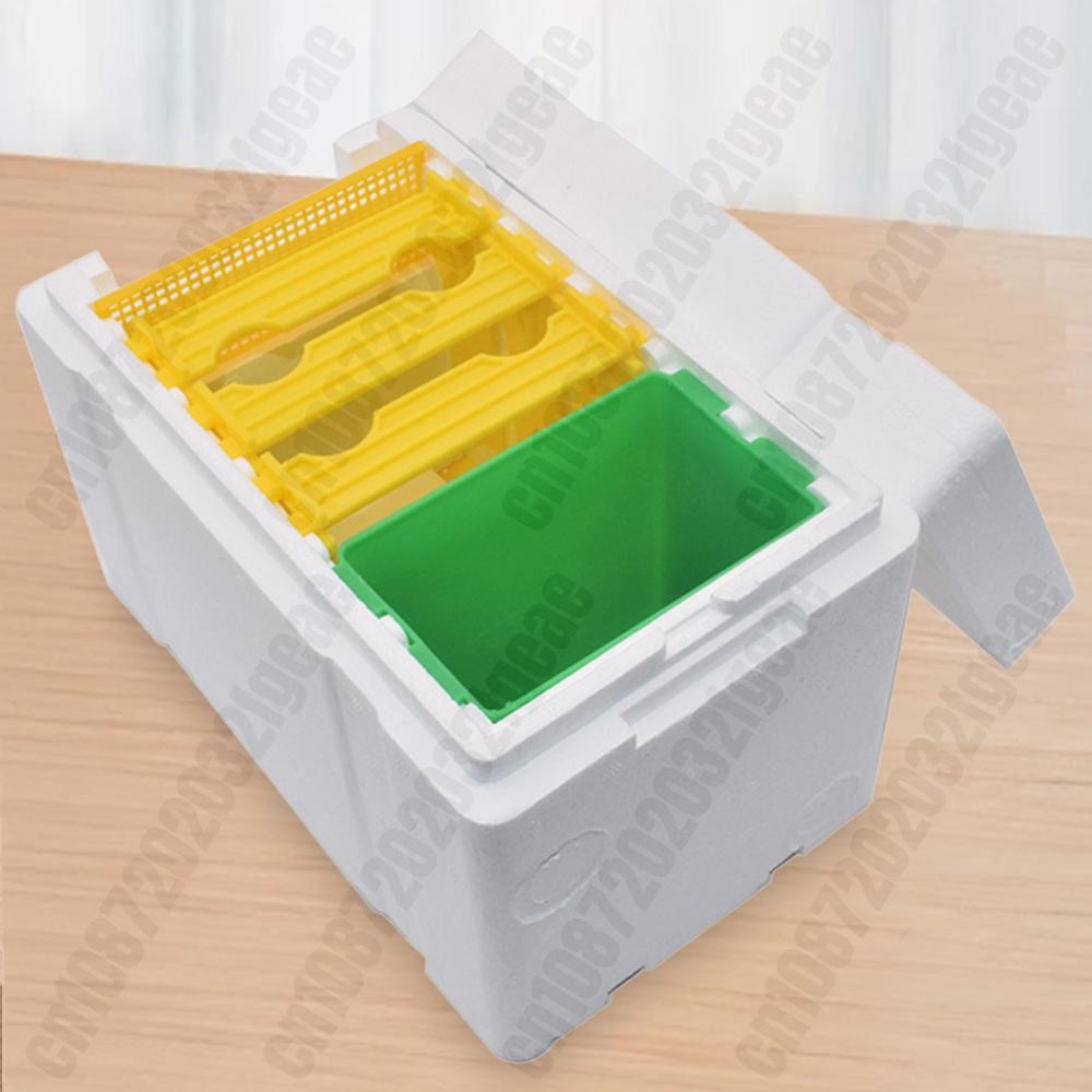 Jual Foam Bee Box Versatile Queen Bee Breeding Box Bee Mating Box Bee ...
