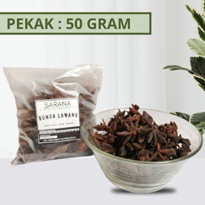 Jual Pekak Utuh 50 Gram / Bunga Lawang / Star Anise / Rempah Murah ...