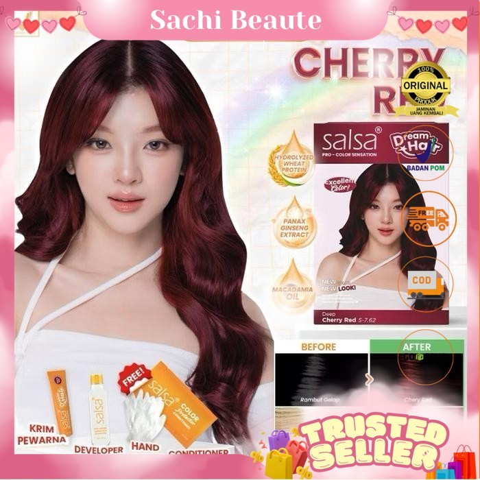 Jual SALSA Dream Hair Color - Cat Rambut Permanen Praktis Intens Tahan ...