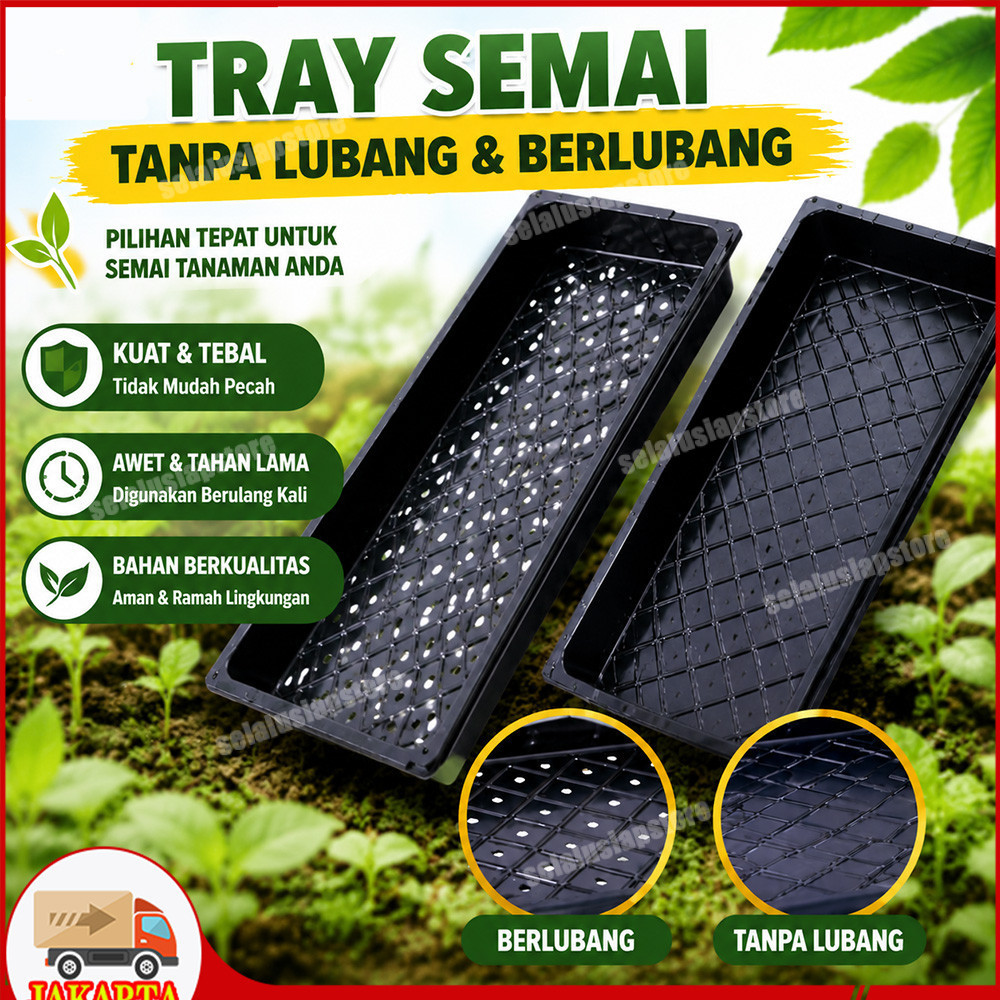 Berlubang & Tanpa Lubang Tray Semai Bibit Biji Semai Seedling Tanaman Hidroponik Tatakan Baki