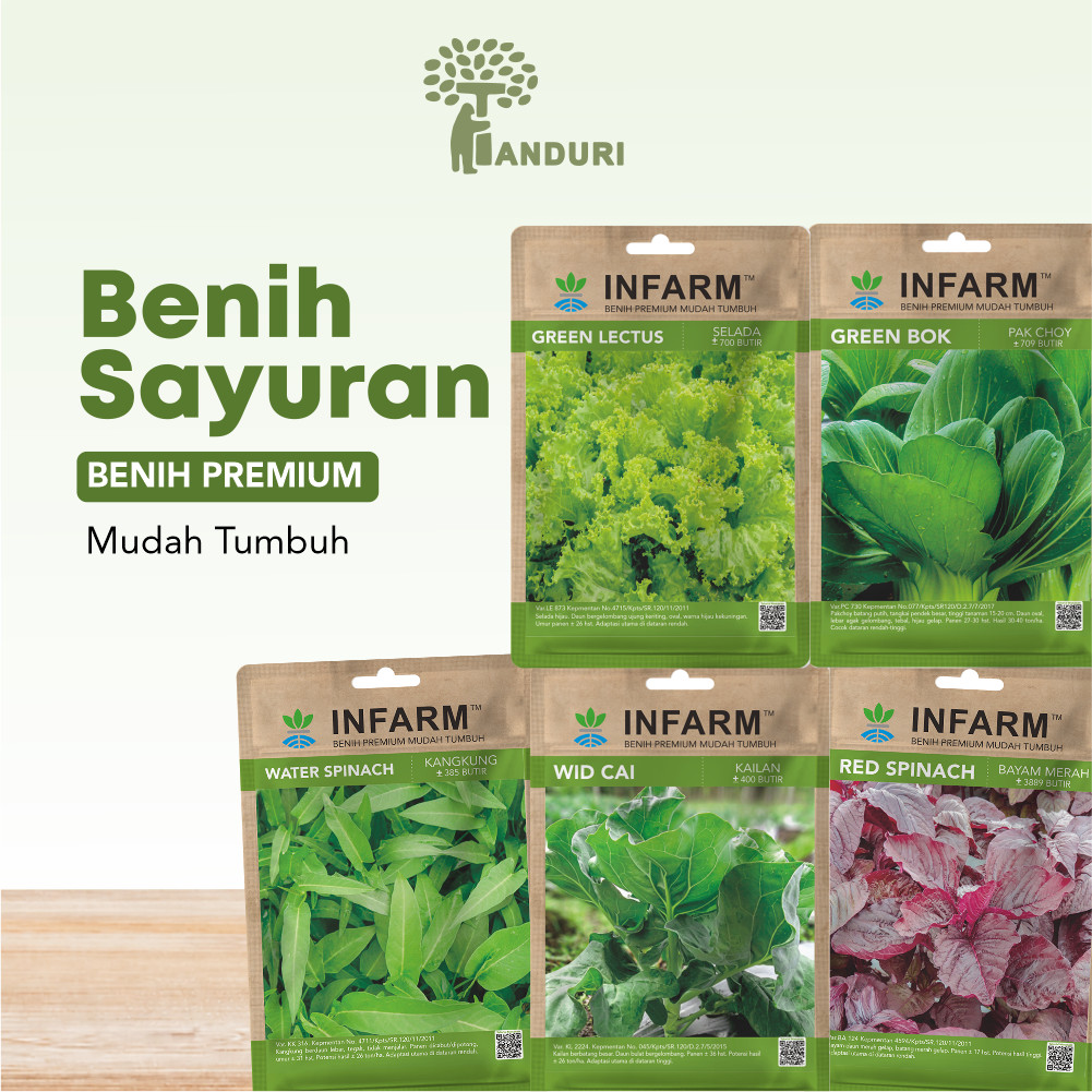 Benih Sayur Bibit Unggul Lengkap Sayuran Kangkung Selada Sawi Hijau Terong Okra Seledri