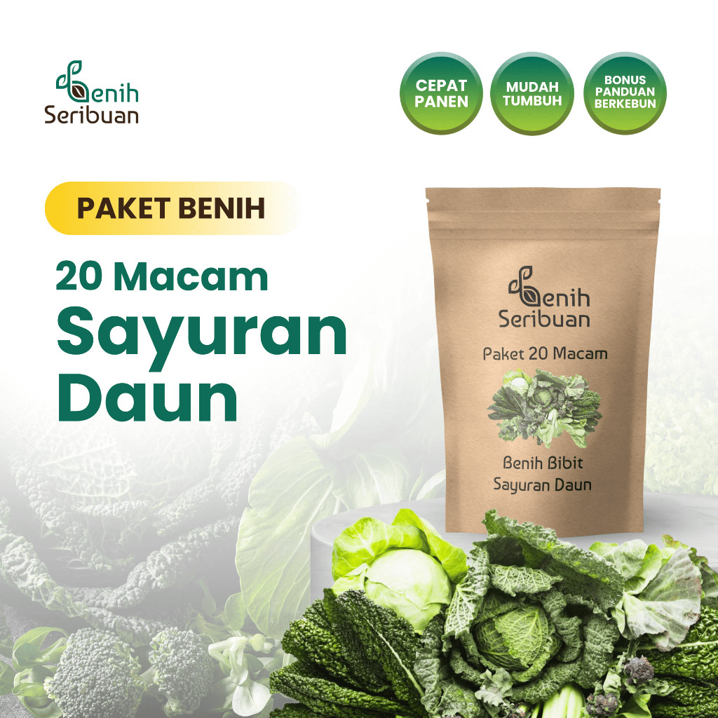 Benih Sayuran Daun Paket 20 Macam Bibit Sayur Unggul Kangkung Seledri Sawi Bayam Selada dll