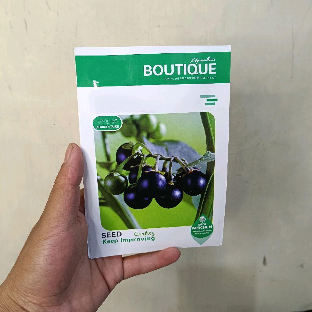 Jual Benih Terong Ranti (Leunca) – Cocok untuk Masakan Tradisional ...