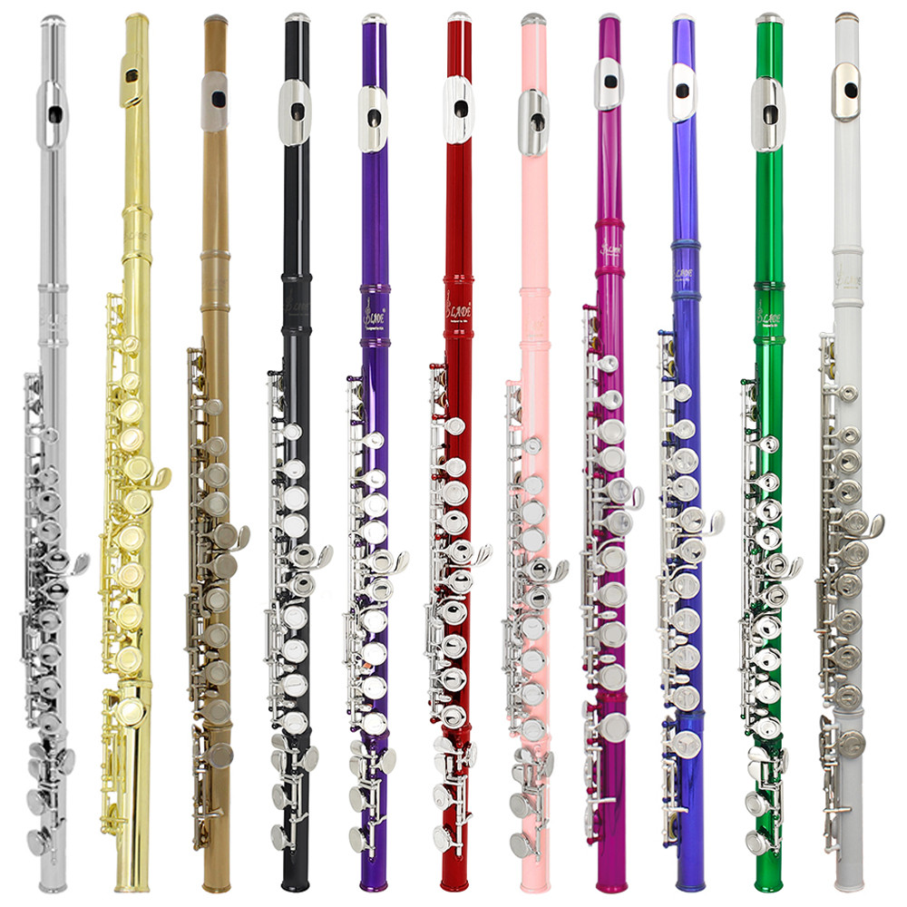 Jual SLADE 16 Closed Open Holes C Key Flute Musical Instrument Concert ...