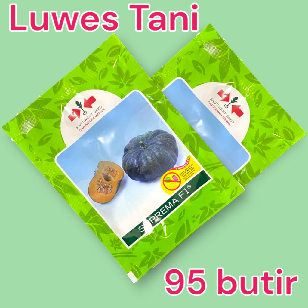 Jual Benih Labu Suprema f1 95 butir Labu waluh Panah Merah | Shopee ...
