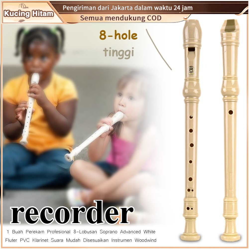 Jual Flute Recorder Soprano Profesional 8 Lubang, C Diatur, Tipe Jerman ...