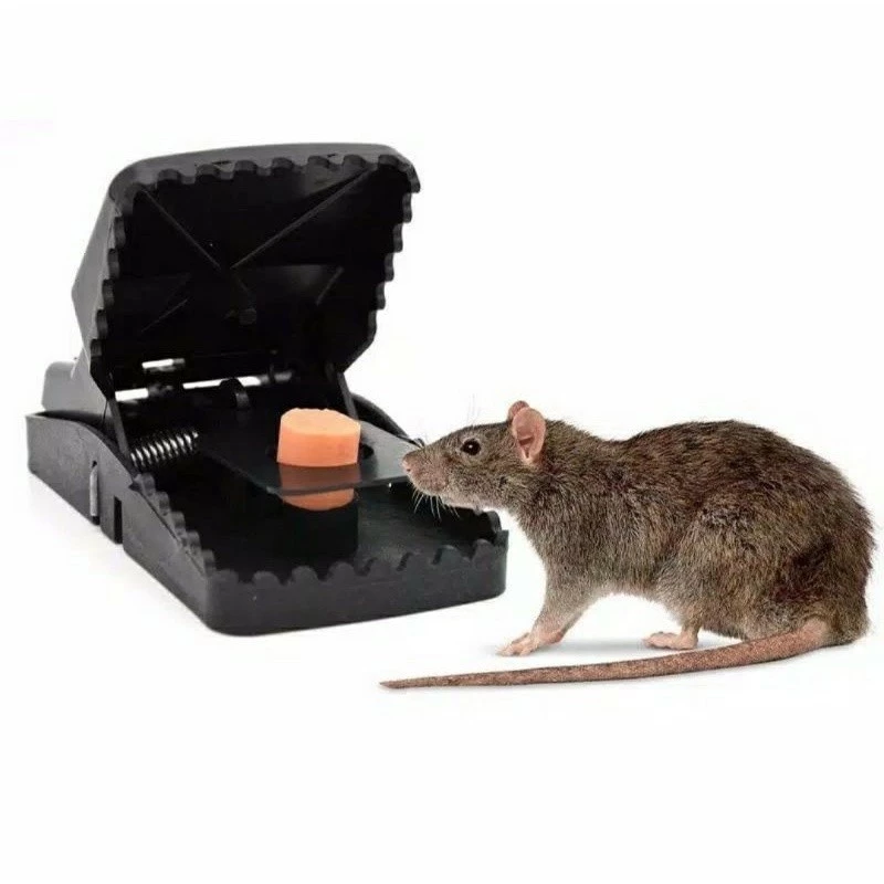 Perangkap Tikus Ajaib