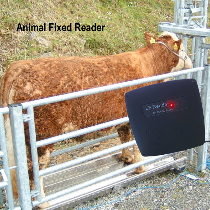 Jual SSN farm gate animal fixed reader RFID LF FDX-B and HDX ear tag ...