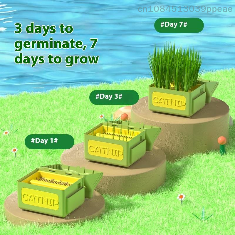 Jual Milk Carton Shaped Cat Grass Planter Tray Removable Cat Grass ...