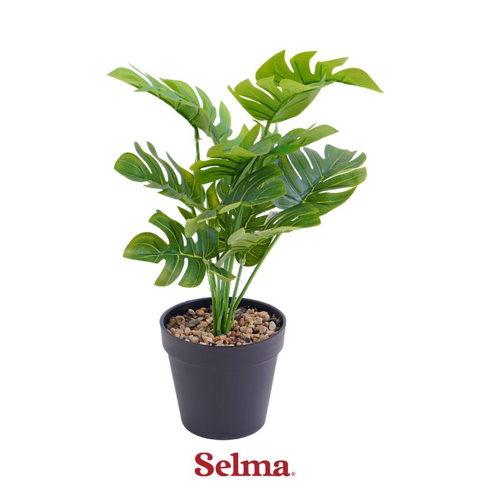 Selma Tanaman Artifisial Monstera Dengan Pot 12.5x12.5x40 cm - Hijau Artificial Plant Tanaman Hias Indoor Outdoor Tanaman Sintetis Tanaman Plastik Imitasi