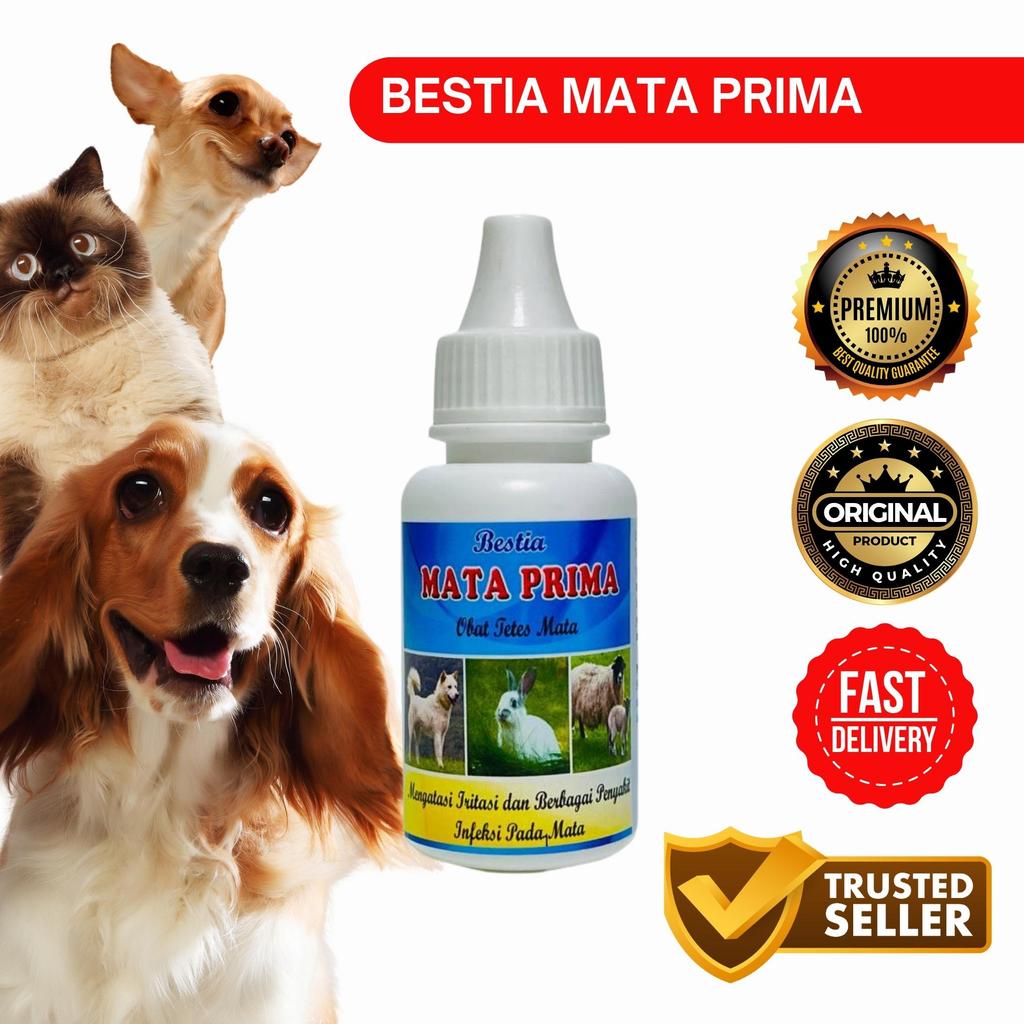 Jual Obat Tetes Mata Bestia - Mata Prima 25ml - Obat Mata Hewan ...