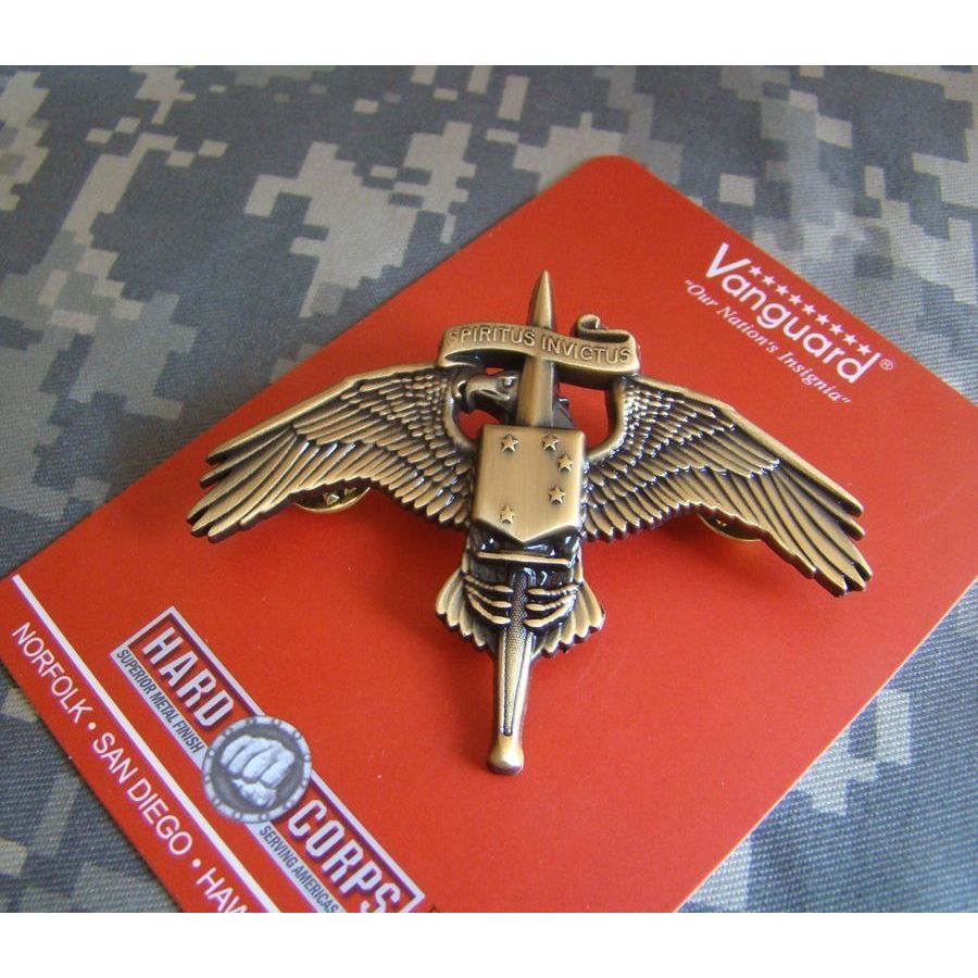 Jual US USMC MARINE CORPS SPECIAL FORCES MARSOC RAIDER REGIMENT BADGE ...