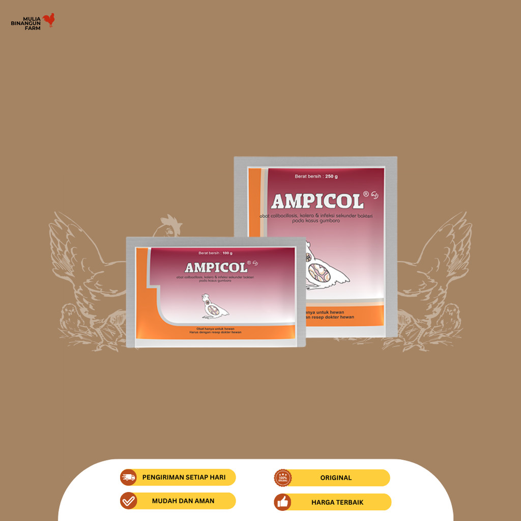 Jual Ampicol Obat Sistem Pencernaan Ayam kemasan 100 dan 250 gr ...