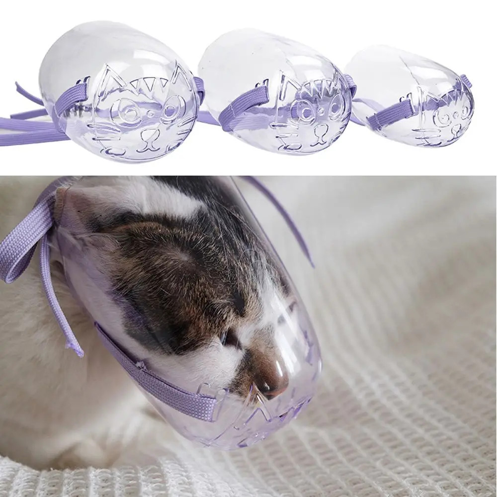 Jual Adjustable Pet Kitten Mouth Mask Cover For Bathing Cleaning ...