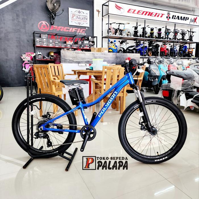 Jual MTB 24 POLYGON Relic Sepeda Gunung Anak | Shopee Indonesia