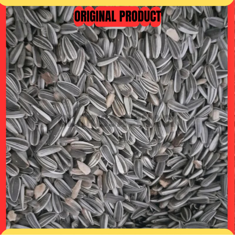 Jual Kuaci Biji Bunga Matahari 1Kg Sunflower Seed Kwaci Matang Kuaci ...