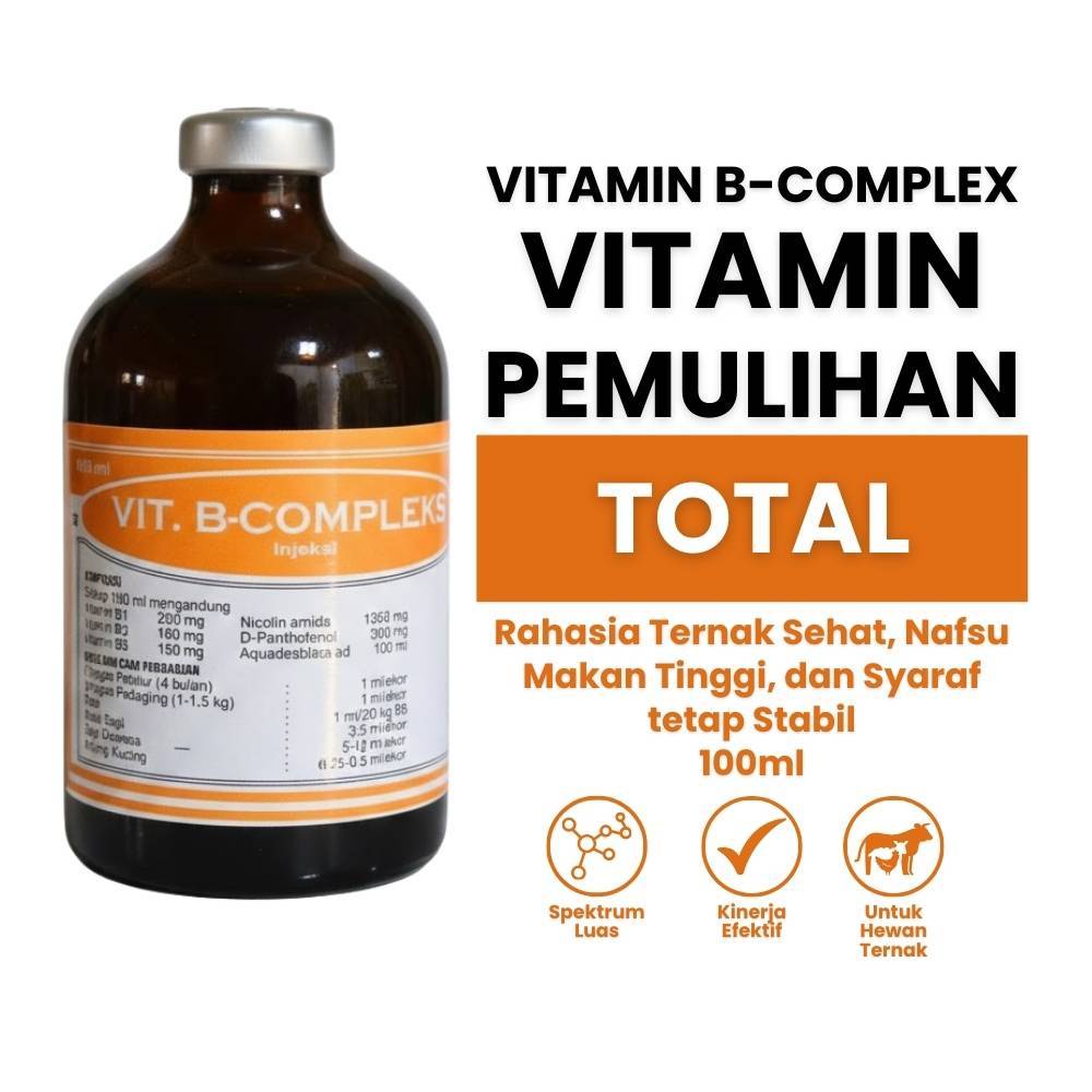 Jual B complek 100 ml injeksi - Vitamin B Komplek Injeksi - Veta B Plex ...